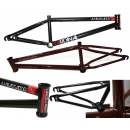 Rama Cardinal Ambassador HT