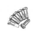 Nyple DT Swiss Silver